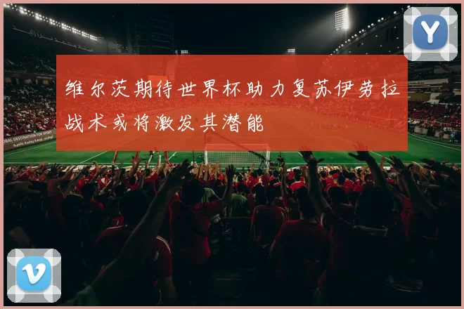 维尔茨期待世界杯助力复苏伊劳拉战术或将激发其潜能